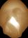 FeaturedMember Image Ronald