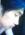 Arman