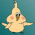 birdy