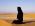 Sarwat