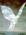 InvisibleHand
