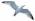Bluseagull