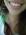 Daniela