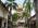 olawale shogunle