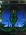 dvsd-Malte
