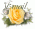 nour