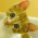 SabbyCat
