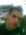 Freddy Dhalier Colmenares Gonzalez