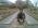 raunak