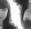 Jacqueline  Haltom