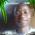 Akinbode Olusegun Peter