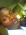 Precious In God's eyes