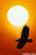 BrightStart