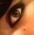 Plosha