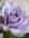 Huyen