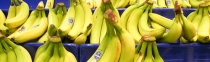 Rotten Bananas: Forgotten Events in Chiquita and United Fruit's History With Guatemala